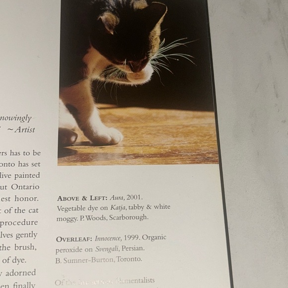 Colorful Vintage Cat Art Print Book Home Decor “Why Paint Cats” - Picture 11 of 15